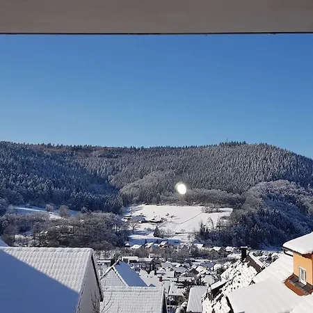 Talblick Im Schwarzwald * Seelbach (Baden-Wurttemberg)