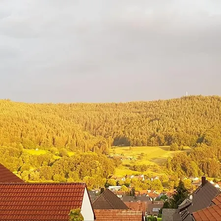 Talblick Im Schwarzwald
