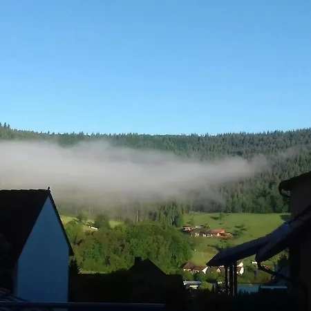 Talblick Im Schwarzwald Seelbach (Baden-Wurttemberg)