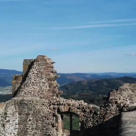 Talblick Im Schwarzwald Appartamento