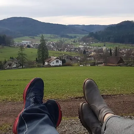 Talblick Im Schwarzwald דירה *