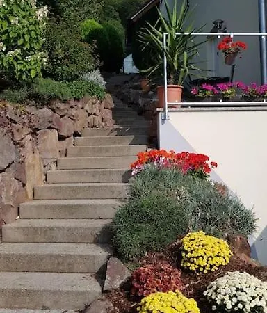 Talblick Im Schwarzwald Appartamento