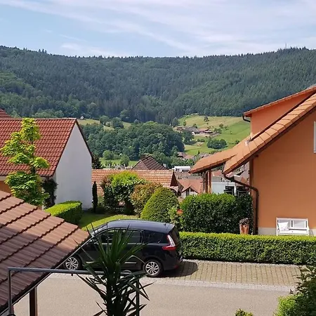 Talblick Im Schwarzwald *