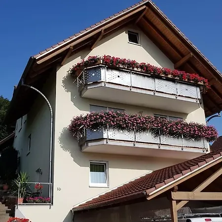 Talblick Im Schwarzwald