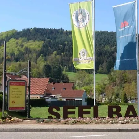 Talblick Im Schwarzwald דירה זילבך