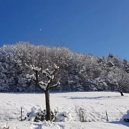 Talblick Im Schwarzwald 公寓 塞尔巴赫