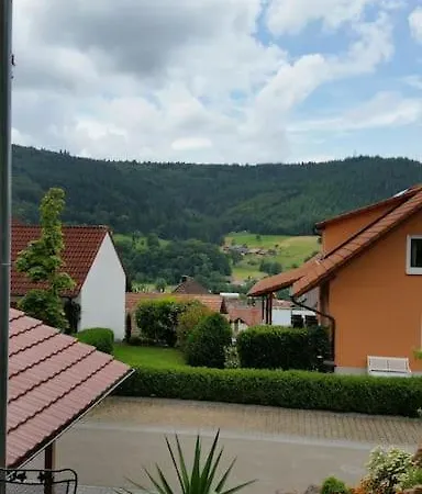 Talblick Im Schwarzwald